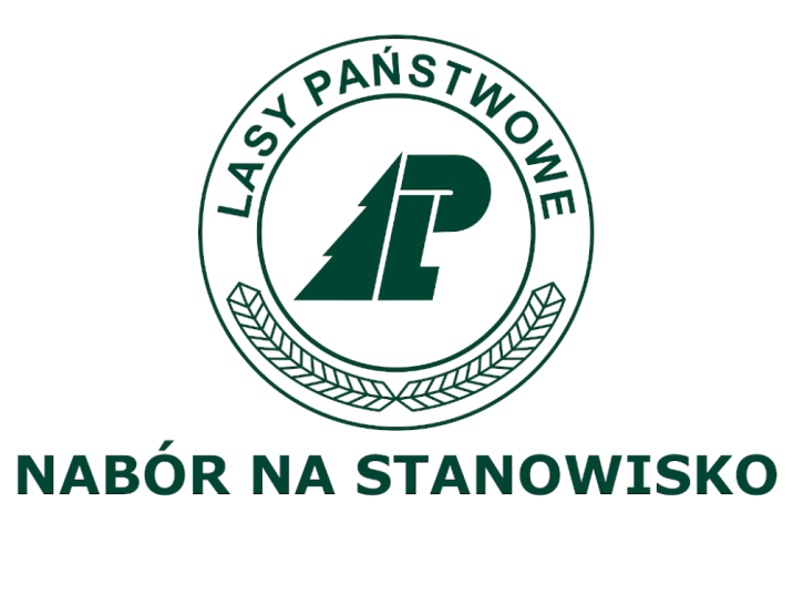 Nabór na stanowisko księgowego