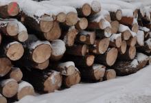 Drewno średniowymiarowe