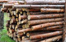 Drewno pozyskane kosztem nabywcy