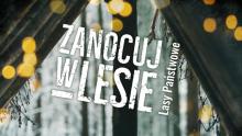 Program ZANOCUJ W LESIE